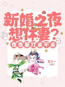 新婚之夜怎么办?视频