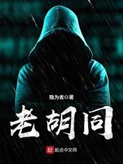老胡同 隐为者