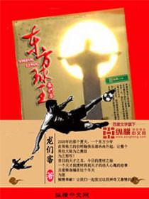 东方球王电视剧在线观看