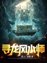 寻龙风水师结局