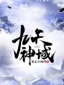九天神域灵落凡尘第二