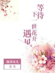 等待下次花开是哪首歌词