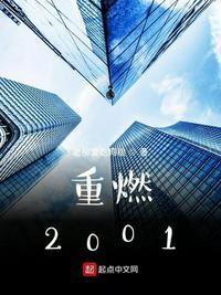 重燃2001吴楚之免费阅读