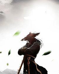 梦为马乘风破浪