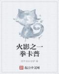 火影之一拳无敌
