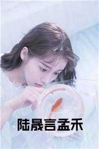 孟欣陆晟无弹窗
