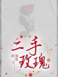 二手玫瑰免费阅读