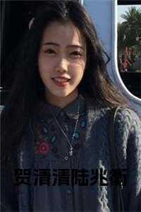 女主是贺清欢的