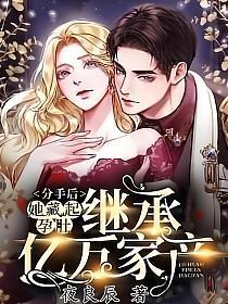 她藏起孕肚继承亿万家产书包
