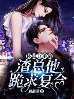 分手后怀了渣攻的种以后免费