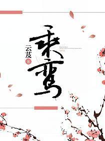 乘鸾电视剧