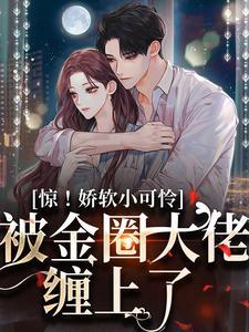 贺静言寒奚的