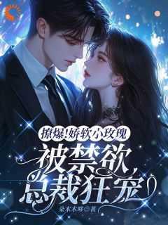 小玫瑰软软的易柒txt
