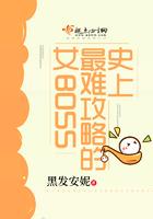 史上最难攻略的女bossTXT