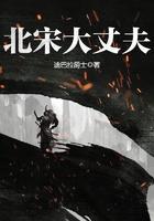 北宋大丈夫TXT八零电子书
