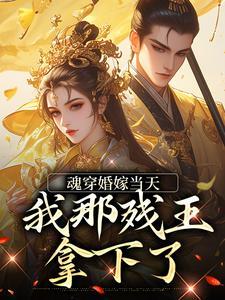 女主傅昭昭
