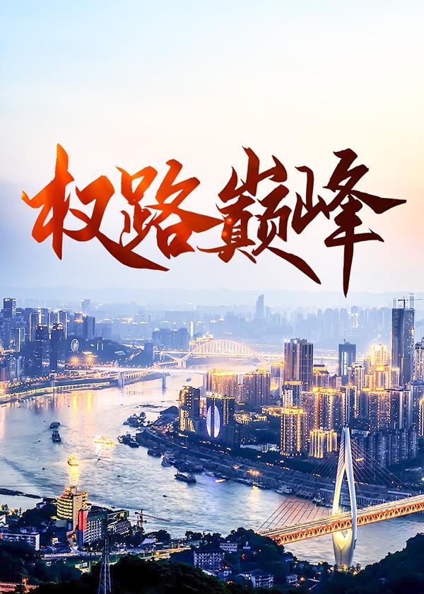权路巅峰张一凡
