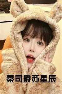 秦苏司徒