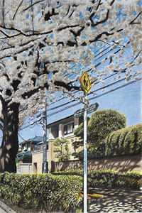 天地法则攻略