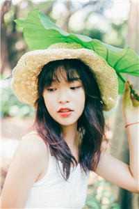 墨莲仙缘录