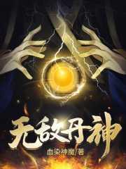 无敌丹神系统