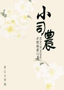 小司农gl无防盗