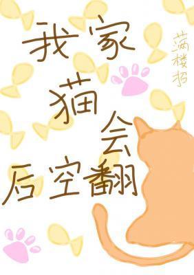 我家猫会后空翻txt