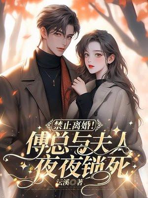 禁止离婚傅总与夫人夜夜锁死
