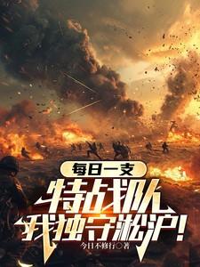 我独守淞沪后续