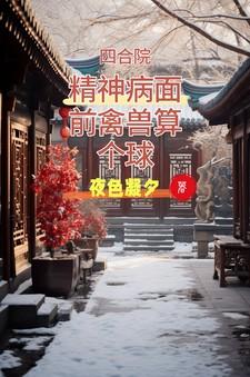 四合院傻