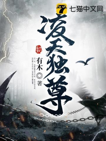 凌天战魂