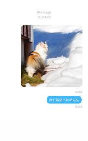 我们猫猫不能听这些音乐英语