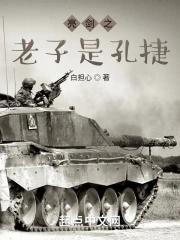 亮剑之老子是政委