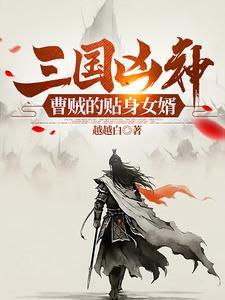 曹贼全本