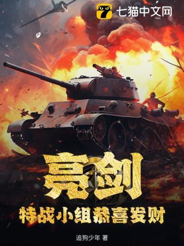 亮剑特种部队是多少集