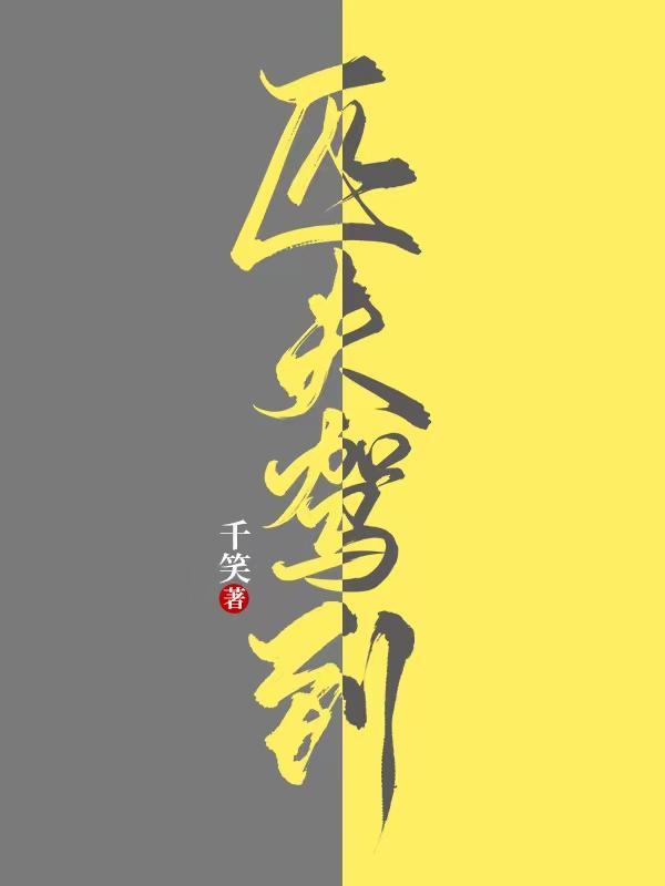 匹夫驾到老武是谁