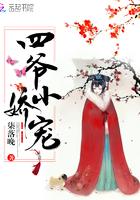 四爷小娇宠沐婉