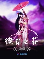 风之彼岸盛开的冥界之花攻略