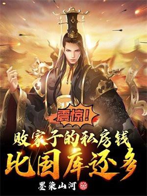 震惊败家子的私房钱比国库还多百度百科