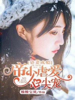 染爱成婚战少宠妻成瘾