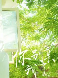 别亲我了免费阅读