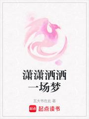 潇潇洒洒是什么歌