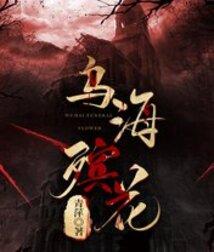 乌海市烟花爆竹