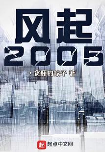 风起2005全文阅读