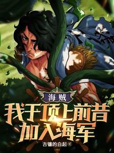 海贼我在顶上