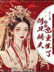 我的侍卫大人 重生