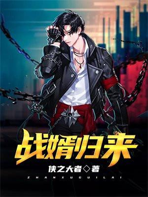 都巿战婿归来