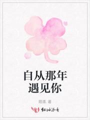 自从那天遇见了你是什么歌名