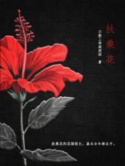 扶桑花什么时候开花