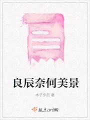 良辰美景奈何天什么意思?